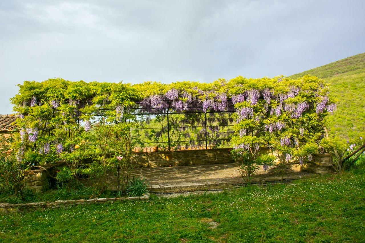Borgo Solamore Hotel Кортона Екстериор снимка